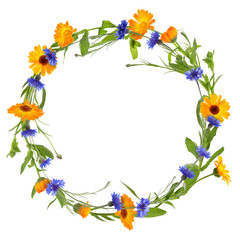 Wreath of beautiful wild flowers isolated on white