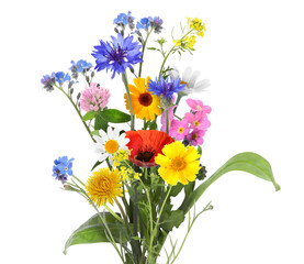Bouquet of beautiful meadow flowers isolated on white