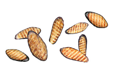 Slices of grilled eggplants in air on white background