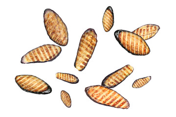 Slices of grilled eggplants in air on white background