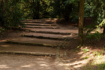 A forest path leading up wooden steps with dense green trees and shrubs, an atmosphere of seclusion...