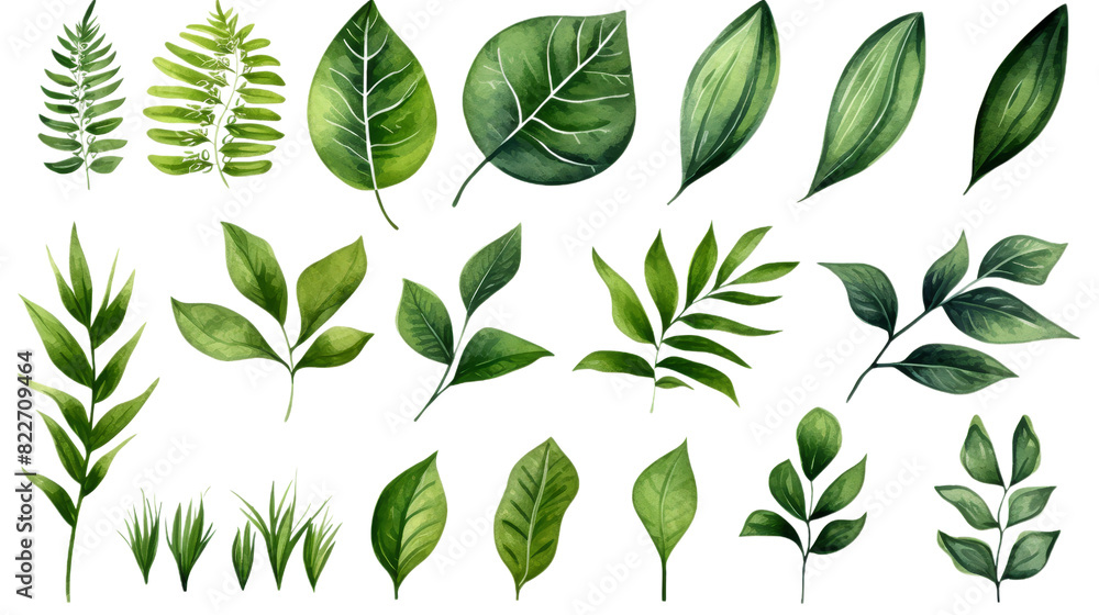 Poster set of watercolor tropical spring green leaves isolated on transparent background, png, cut out.