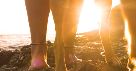 LENS FLARE, CLOSE UP: Sunbeams shine through legs of a woman and a dog on a relaxing beach walk in golden evening light. Rugged rocky shore glows as warm rays of setting sun reflect off the wet rocks.