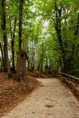 Monte Isola, Lake Iseo, Lombardy, Italy