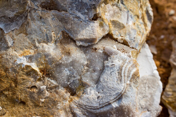 Fractured flint boulder with a brush of fine-crystalline quartz inside