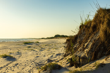 Landschaft an der Ostseeküste bei Zingst auf Fischland-Darß