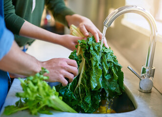 Spinach, washing and hands in kitchen, water and cleaning of vegetable, closeup and tap for...