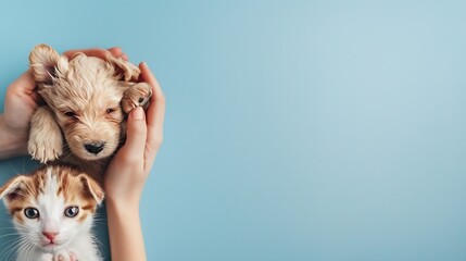 Web banner with puppy and kitten in veterinarian doctor hands at animal clinic copy space Female vet doctor holding cute ginger puppy and kitten Vet examining Pet check dog and cat hea : Generative AI