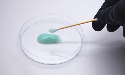 A close up 45 degrees images of petri dish with gel and hand holding wooden for experiment stick on white background.Representing scientific research concept.