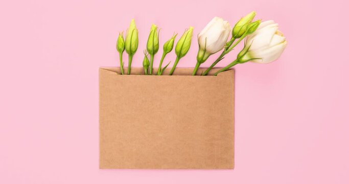 Video scale on tender pink Eustoma flower arrangement with flowers and blank card or envelope on pastel pink background. Floral video card with place for text.