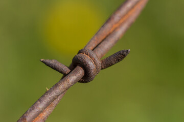 close up of barbed wire