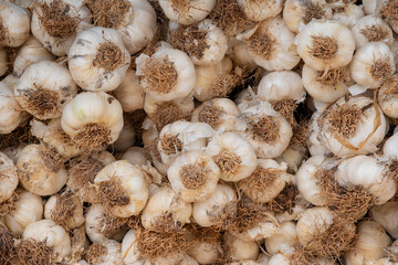 Delicious and fresh garlic cloves