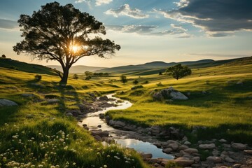 Natural Scenario Exuberant grass in a national park., generative IA