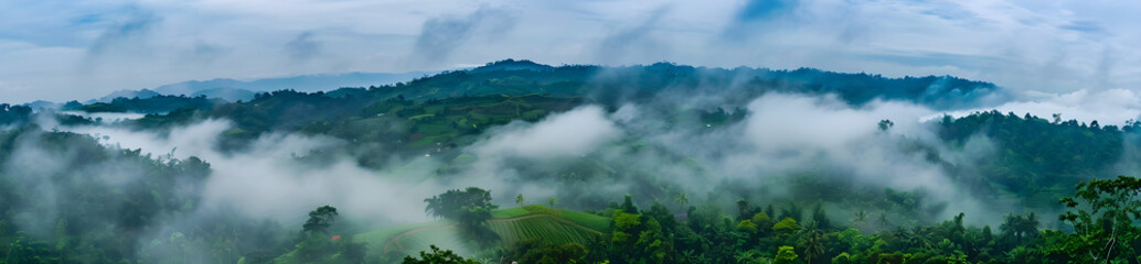 A foggy landscape in the jungle, showing a mist and cloud-covered mountain tropic valley. Perfect for travel and nature-related usage.