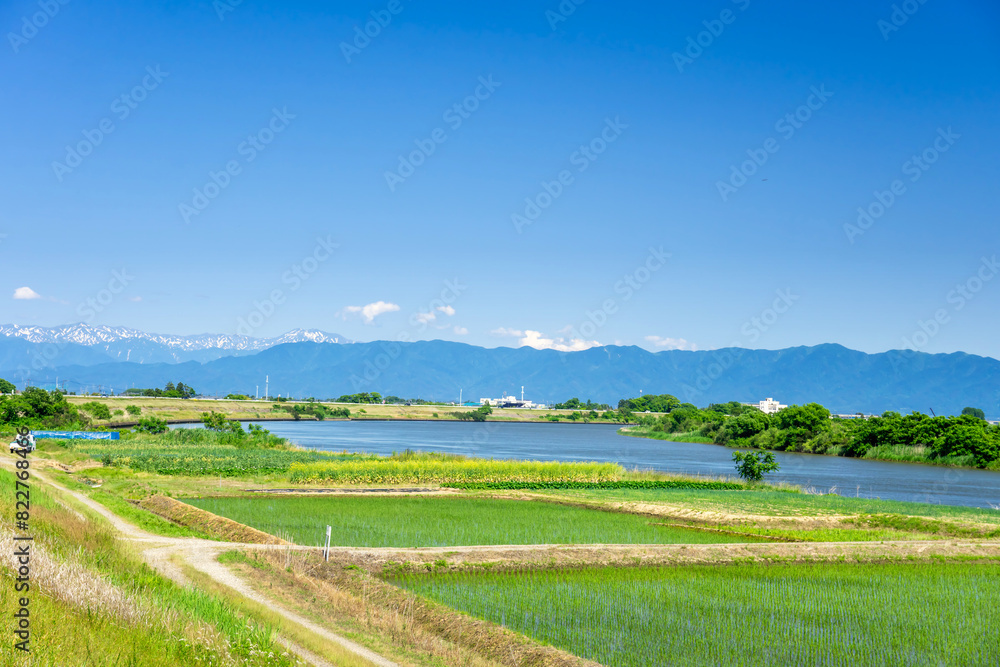 Wall mural 新潟県　信濃川と水田　粟ケ岳を望む