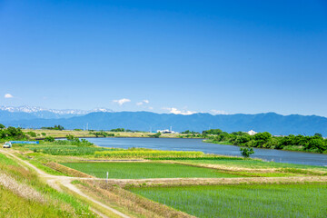 新潟県　信濃川と水田　粟ケ岳を望む