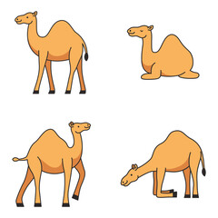 camel illustrations