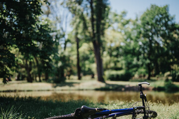 A calm scene of a bicycle parked by a tranquil pond in a sunny park, surrounded by rich greenery,...