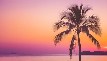 Beautiful sunset on a beach, tropical palm trees