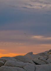 Birds in Cloudy Sky at Sunset over Rocks