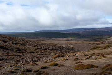 Mount Ruapehu: Panoramic view on Snow-Capped Stratovolcano Amid Green bush and Tongariro National Park Volcanic Landscape, New Zealand