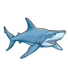 Fototapeta premium A friendly hammerhead shark swimming