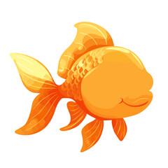 A pet goldfish in a clear container