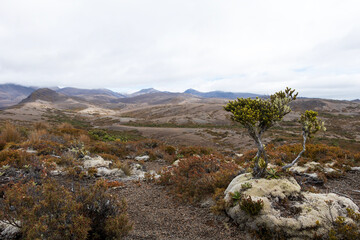 Tongariro Northern Circuit: a world-famous trek in New Zealand’s North Island. This Great Walk offers dramatic volcanic landscapes, scenic views, and iconic spots