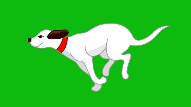 cartoon dog running, dog run