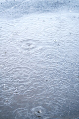 Circles and raindrops on the puddle.