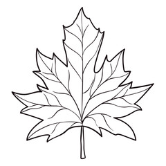 Maple leaf in black outlines for coloring activities, Vector illustration