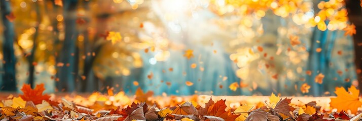 First Day of Fall Concept with copy space area for text. Beautiful background