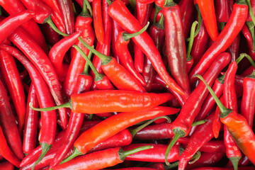 Red chilli peppers in a box 
