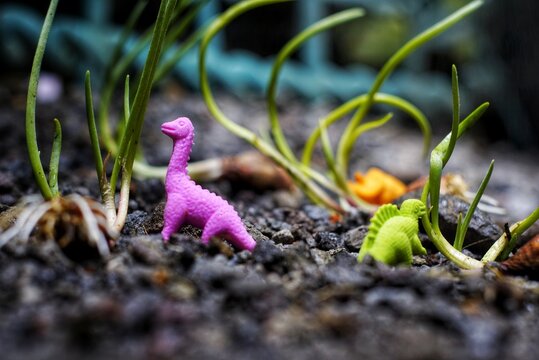photo of toy dinosaurs in the park