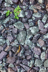 An abstract , background photo of lichen covered railway track ballast, the sharp edged gravel stones that form the foundation of railroad tracks and fill in the spaces between the sleepers.