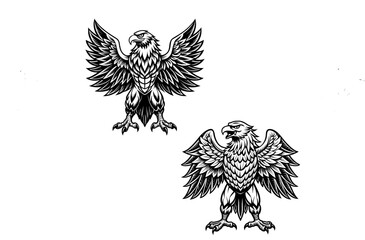 Eagle bird with wings,eagle line logo vector