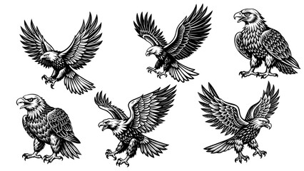 set of flying eagles line style vector design