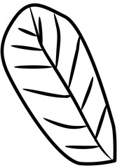 tropical botanical leaves