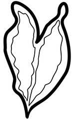 tropical botanical leaves