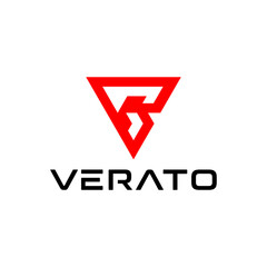 Letter V logo vector illustration