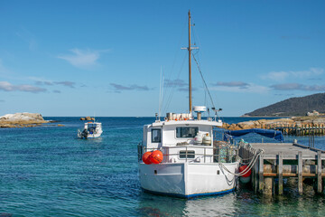 boats in the harbor