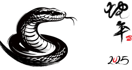 Traditional Chinese Year of the Snake illustration vector 2025, Asian elements, ink style(Translation: Snake Zodiac 2025 Happy New Year)