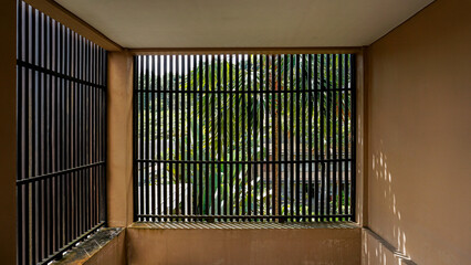 window in a cage