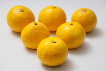 ビタミンたっぷりの美味しいグレープフルーツ