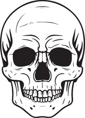 Human Skull Black Shallotte 