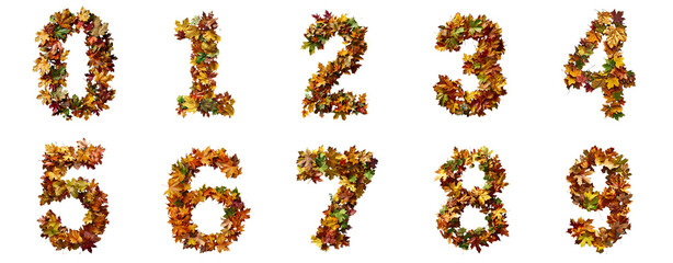 Autumn Inspired Numerals 0-9 Crafted from Fallen Leaves on transparent Background