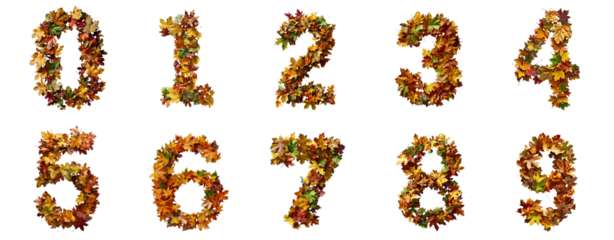 Autumn Inspired Numerals 0-9 Crafted from Fallen Leaves on transparent Background