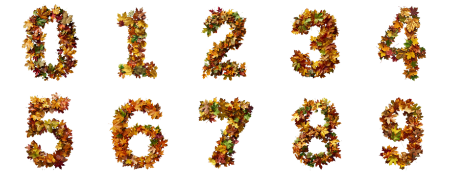 Autumn Inspired Numerals 0-9 Crafted from Fallen Leaves on transparent Background