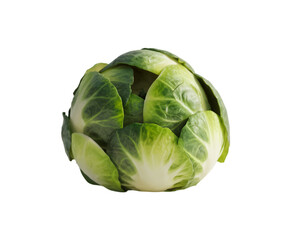 Fototapeta premium Compact Brussels Sprout isolated on transparent background Ai generative.