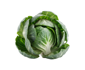 Compact Brussels Sprout isolated on transparent background Ai generative.